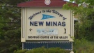New Minas