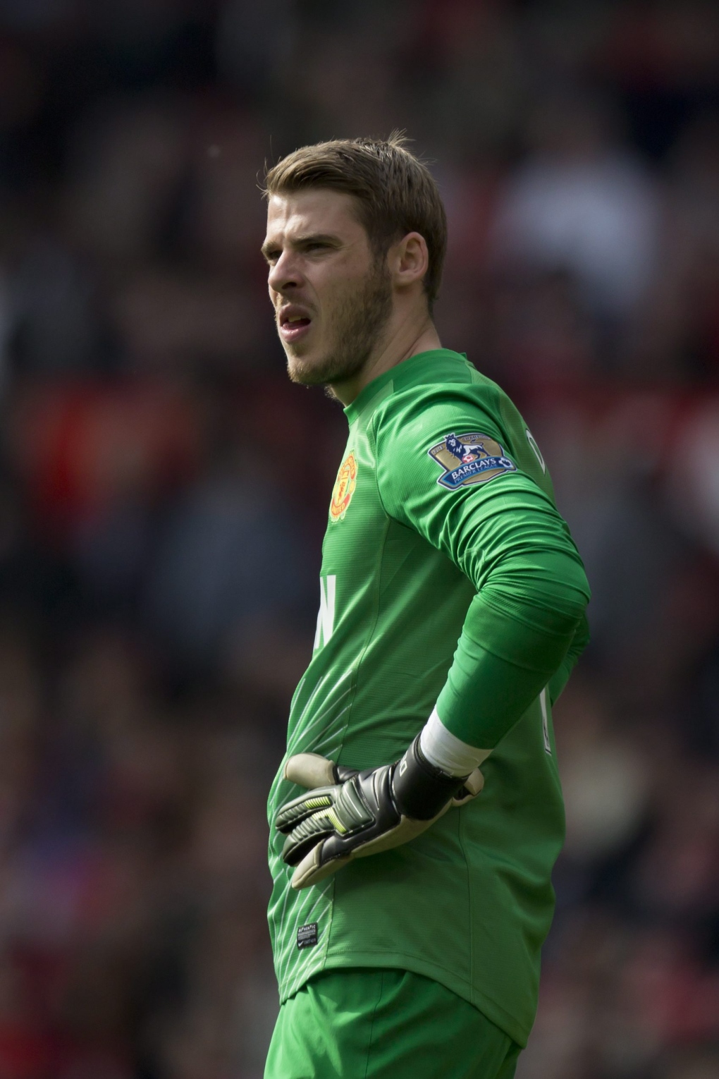 David de Gea could be sidelined after injury