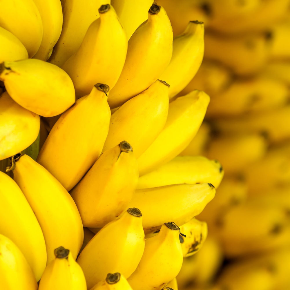 Super banana to be tested