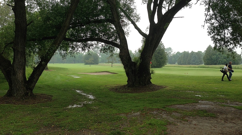 The area where the lightning struck - near the 18th hole at Bethesda Grange Golf Course in Whitchurch-Stouffville - is seen June 17, 2014. (Roger Klein / CTV Barrie)