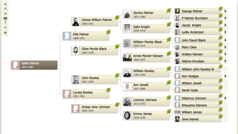 This undated image provided to The Canadian Press by Ancestry.com shows a family tree made on the genealogy website.