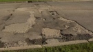 Caroline Paluck believes potholes on the streets in front and adjacent to her home are adding to the problem of her shaking house.
