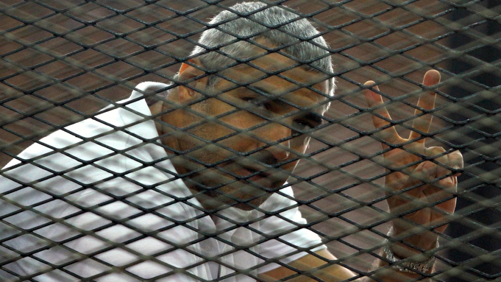 Mohamed Fahmy in the defendant's cage