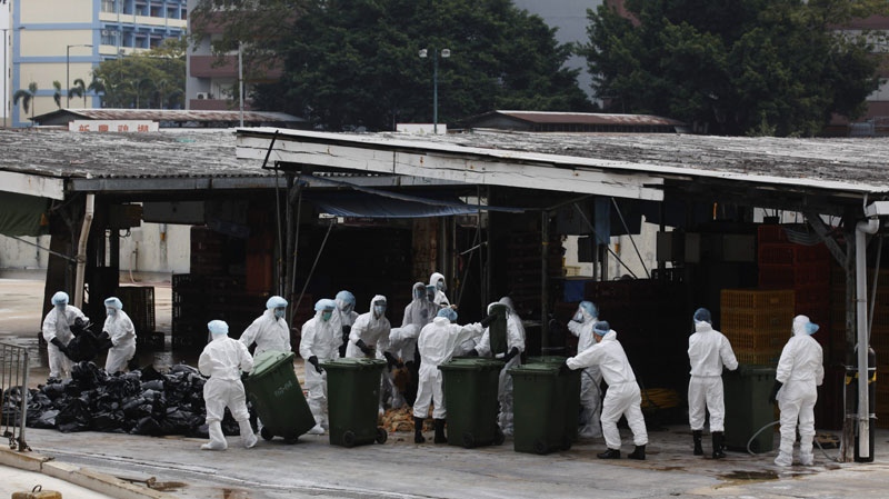 Health workers slaughter the chicken at a wholesale poultry market in Hong Kong Wednesday, Dec. 21, 2011.