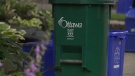 City of Ottawa residents place their green bins, recycling, and garbage cans on the side of the street for pick-up on Wednesday, July 9, 2014. (CTV Ottawa)