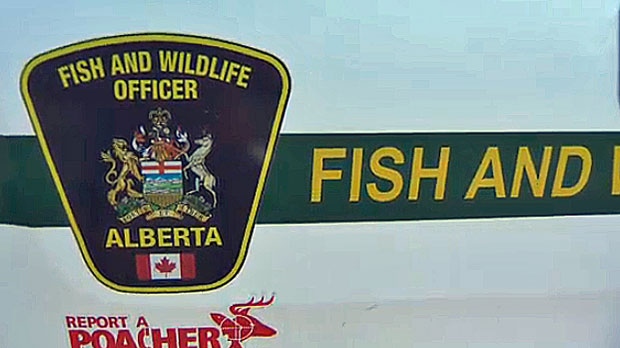 Alberta fish and wildlife
