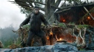 This photo released by Twentieth Century Fox Film Corporation shows Andy Serkis as Caesar in a scene from the film, 'Dawn of the Planet of the Apes.' (AP / Twentieth Century Fox Film Corporation)