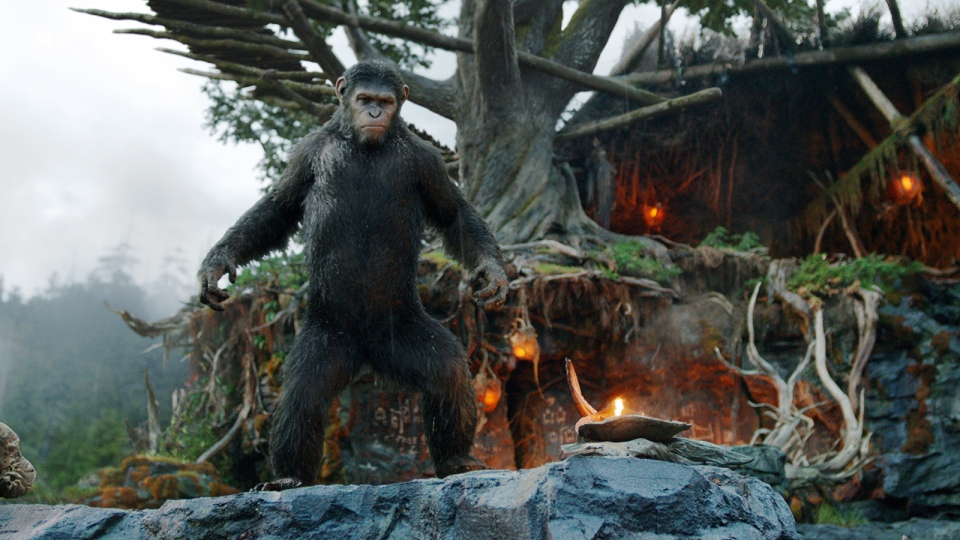 'Dawn of the Planet of the Apes' 
