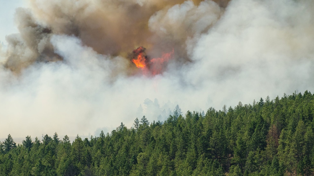West Kelowna wildfire prompts state of emergency