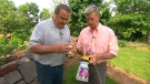Gardening expert Mark Cullen, right, appears on Canada AM, Wednesday, July 23, 2014.