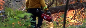 Controlled forest fire in Thousand Islands
