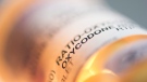 Prescription pill bottle containing oxycodone and acetaminophen are shown in this June 20, 2012 photo.  (Graeme Roy / THE CANADIAN PRESS)