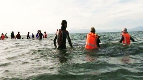 Rescuers save beached whales stranded in New Zealand Friday, Jan. 6, 2011. 