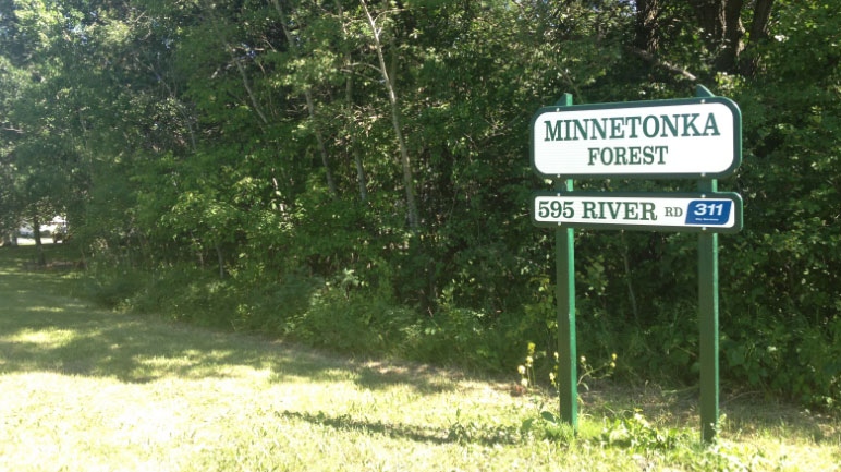 Minnetonka Forest