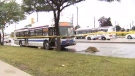 Police are investigating after a female pedestrian was fatally struck by a Brampton Transit bus in Etobicoke, Monday, July 28, 2014. 