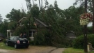 Several trees fall around a home in Grand Bend, Ont. on July 28, 2014. (Photo courtesy Kristylee Varley)