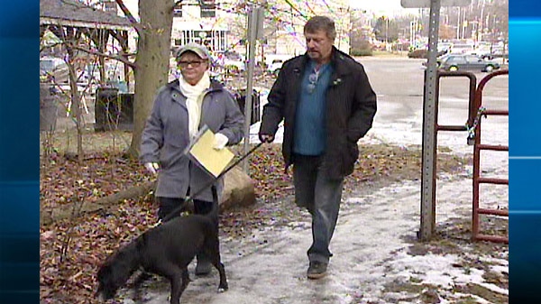 Debbie and Murray Tohivsky walk their dog Chevy in Cambridge, Ont. on Wednesday, Jan. 11, 2012.