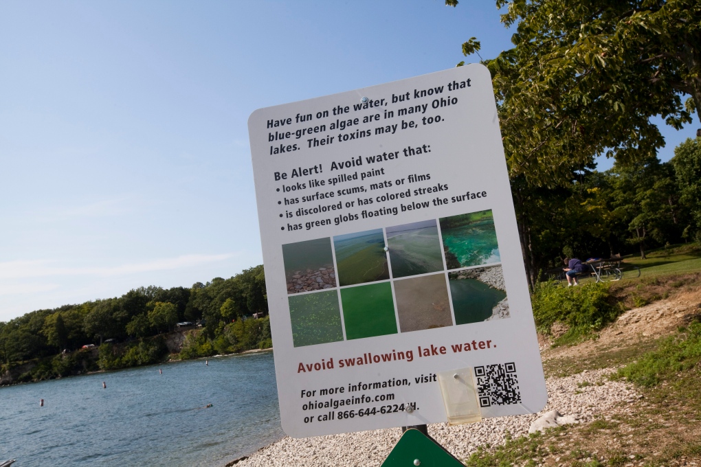 Algae warning on Lake Erie