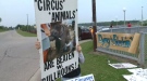 Protestors hold signs at the Shrine Circus in Paris, Ontario. August 2, 2014.