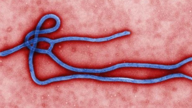 Work at Winnipeg lab plays role in ebola therapy