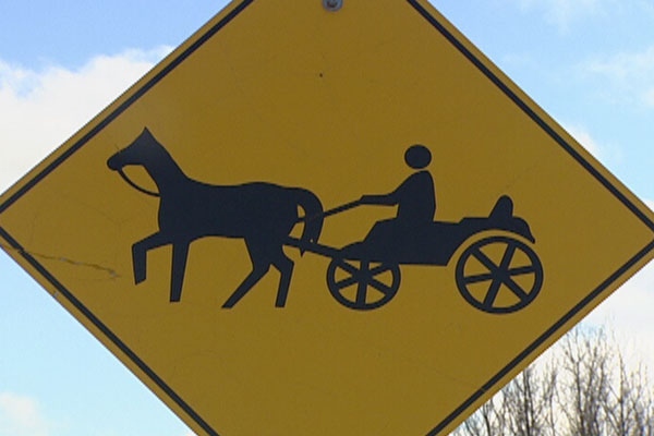 Horse and buggy crash