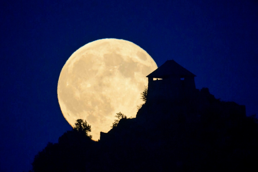 Full moon makes extraclose appearance Nov. 14 CTV News