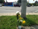 Flowers sit at the scene of a fatal collision involving a cyclist at Wharncliffe Road and Riverside Drive in London, Ont. on Friday, Aug. 8, 2014. (Sean Irvine / CTV London)