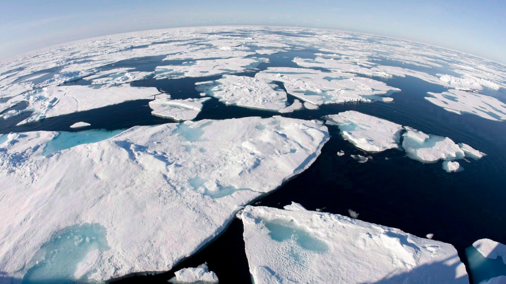 Ice floes in the Arctic