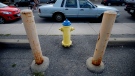 A car is illegally parked in front of the most lucrative fire hydrant in Ottawa on Thursday Aug 7, 2014. This hydrant has made the City of Ottawa approximately $65,000 since 2008. Sean Kilpatrick/THE CANADIAN PRESS