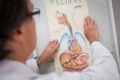 Dr. Lawrence Cohen, a specialist in gastroenterology, puts up a poster depicting the human gastrointestinal tract at the Sunnybrook Health Sciences Centre in Toronto on Thursday, August 7, 2014. (Darren Calabrese / THE CANADIAN PRESS)