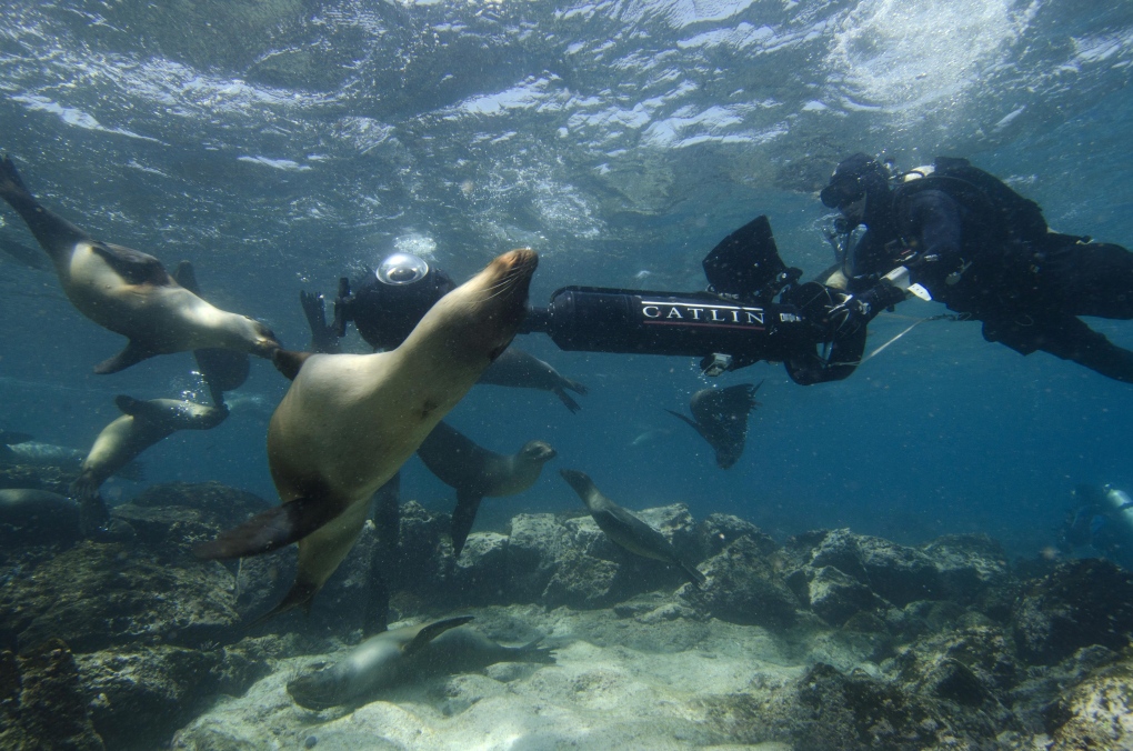 Photographer takes underwater 'street-view' photos