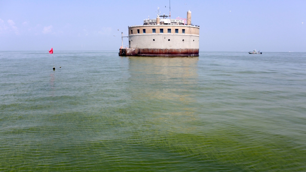 Algae blooms in Great Lakes