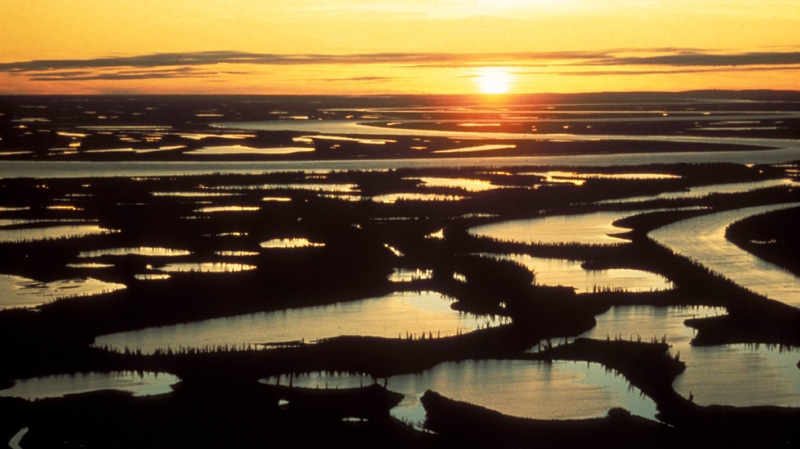 A section of the MacKenzie Delta is shown in this undated handout photo. 