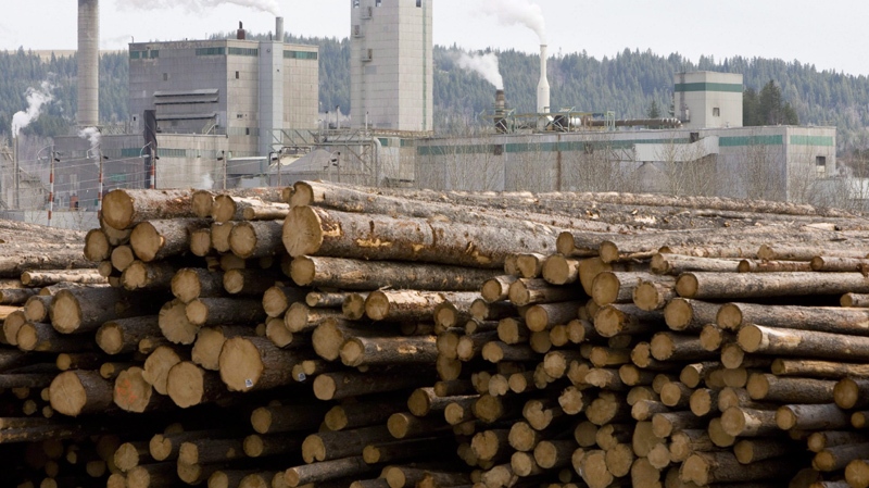 Logs are piled up at West Fraser Timber in Quesnel, B.C., Tuesday, April 21, 2009. 