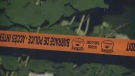 A grenade was found in the woods behind a home on Georges Street  in Buckingham around 7:15 p.m. on Monday, Aug. 18, 2014.