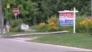A for rent sign in a Kitchener neighbourhood. (CTV News Kitchener)