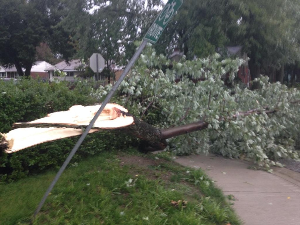 Windsor storm damage