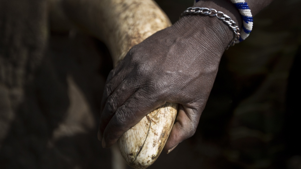 Kenyan wildlife rangers allegedly killing poachers
