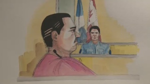 Magnotta, who has gained weight and grown a moustache since his arrest, has been in court while lawyers argue in pre-trial motions. (Delf Berg)
