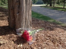 Flowers are left near where an 18-year-old University of Waterloo student was fatally hit by lightning on Friday, Sept. 5, 2014. (David Imrie / CTV Kitchener)
