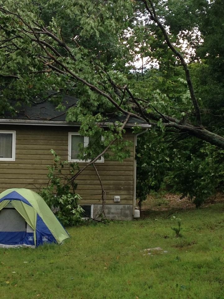 tree fallen in storm Christian Island