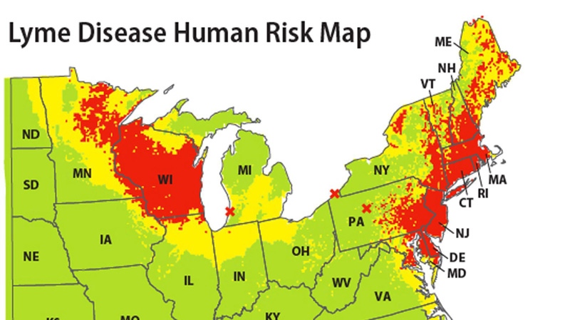 This map released by the Yale School of Public Health on Friday, Feb. 3, 2012 shows a map which indicates areas of the eastern United States where people have the highest risk of contracting Lyme disease based on data from 2004-2007. (AP Graphic/Yale School of Public Health, Maria Diuk-Wasser)