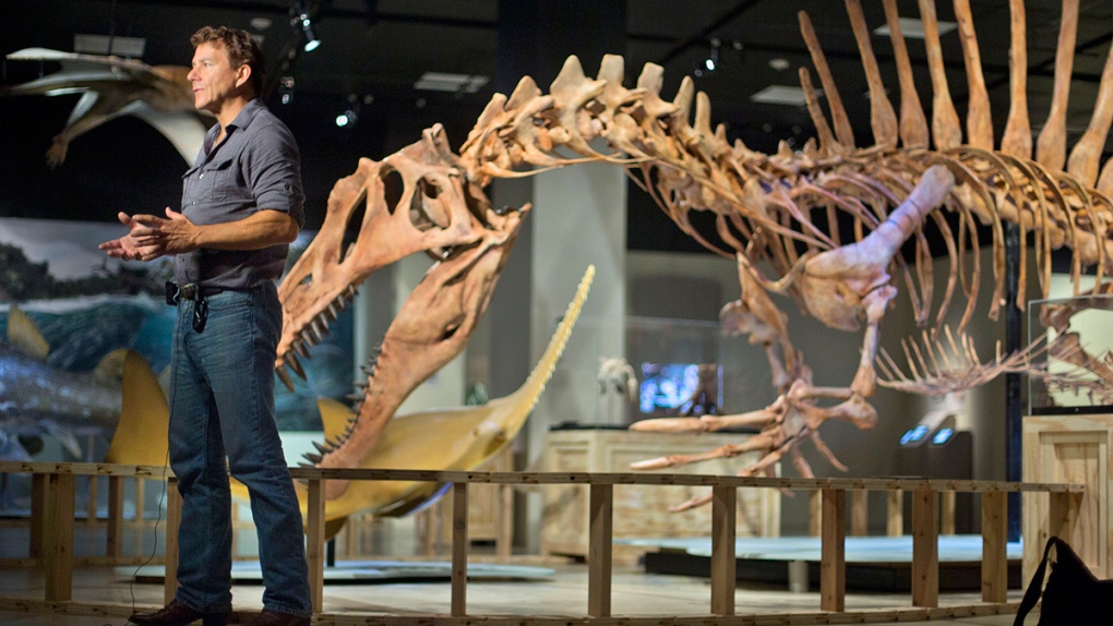 Spinosaurus dinosaur unveiled by scientists