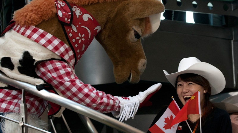A woman reacts as the Calgary Stampede mascot Harry the Horse reaches for her before a tourism announcement by Prime Minister Stephen Harper in Beijing on Wednesday, Feb. 8, 2012. (Adrian Wyld / THE CANADIAN PRESS)