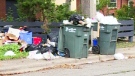 CTV Windsor: Garbage causing a stink near UWindsor