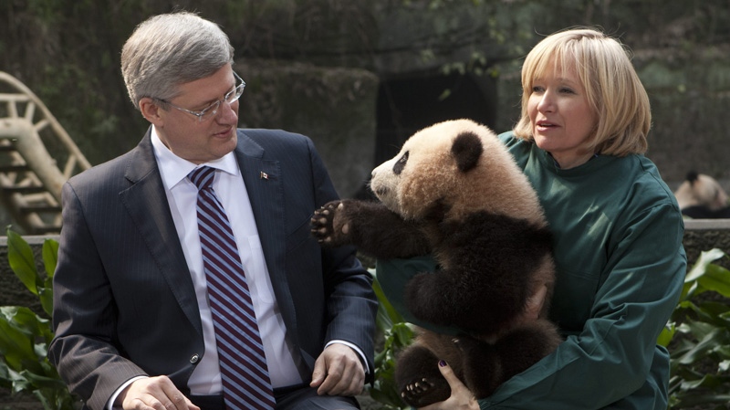 Canadian Prime Minister Stephen Harper and his wife Laureen hold a panda bear at the Chongqing Zoo in Chongqing, China Saturday February 11, 2012. (THE CANADIAN PRESS/Adrian Wyld)