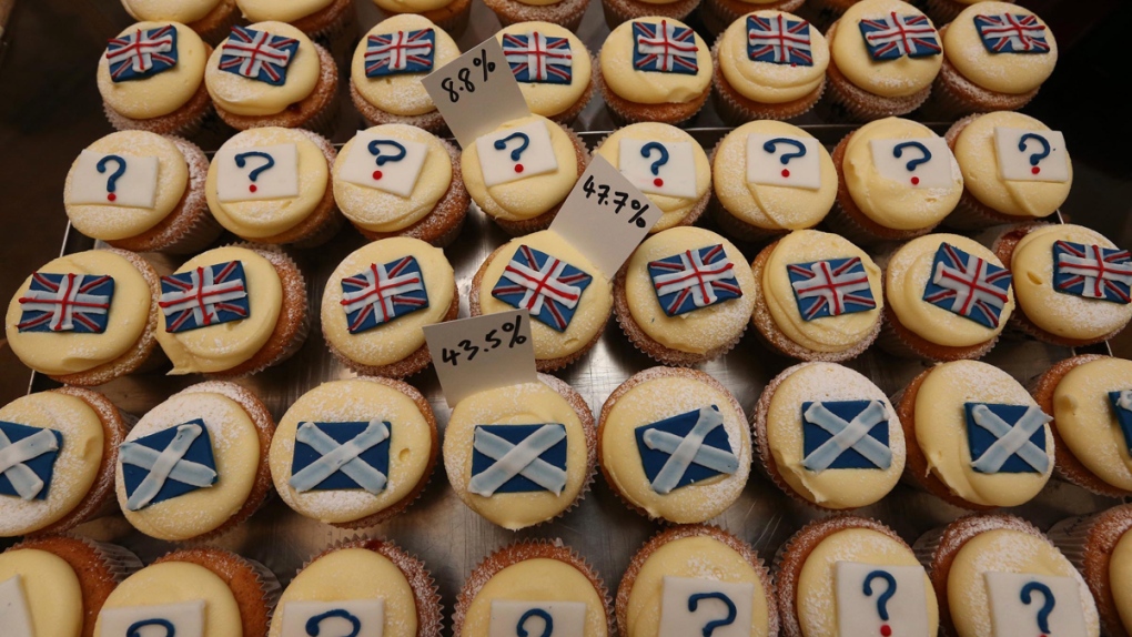 Cupcakes at Cuckoo's bakery in Edinburgh, Scotland