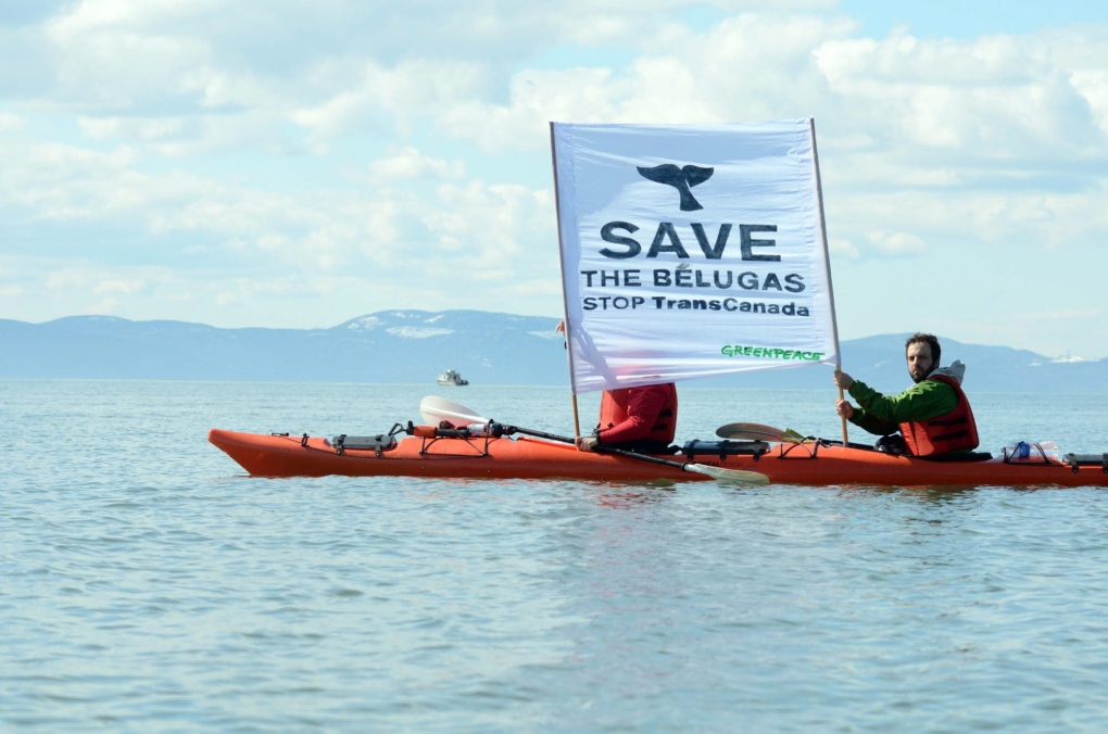 Greenpeace activists protest plans by TransCanada