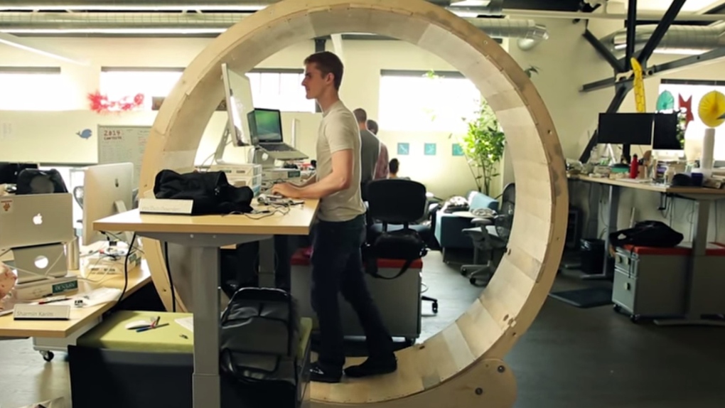 Hamster Wheel Desk Designed To Keep Workers Active At The Office Ctv News