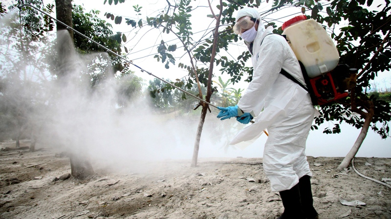 A health worker wearing a protective gear sprays disinfectant at a site of a suspected outbreak of the H5N1 bird flu virus among ducks in Nhat Tan commune, Kim Bang district, Ha Nam province, Vietnam, Tuesday, Feb. 14, 2012. (AP / Na Son Nguyen)